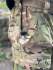 Штани тактичні Assaulter GN-2 MultiCam