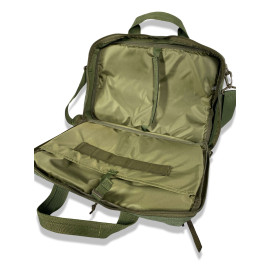 Кейс Агент Olive