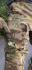 Штани тактичні СпН Combat Vent MultiCam